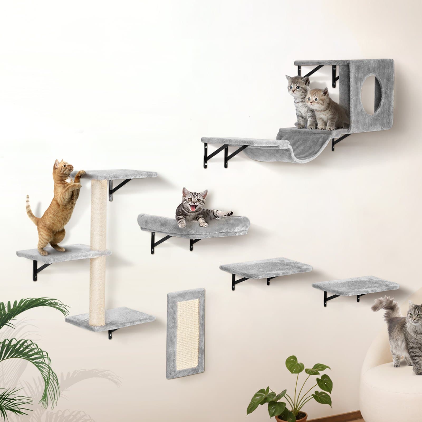 Wall Mounted Cat Shelves Tree With Jump Boards Hammock Sofa Grip Set Of 6