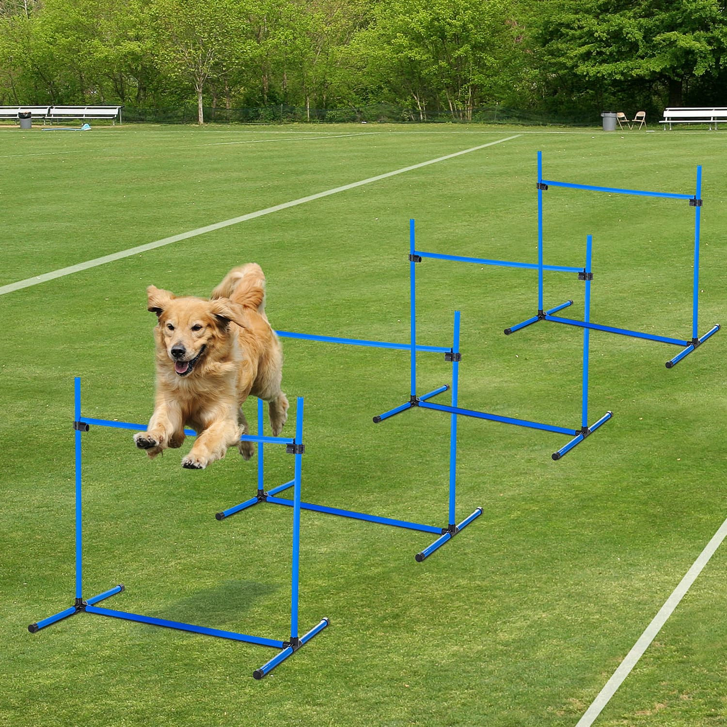 4 Piece Dog Agility Starter Kit with Adjustable Height Jump Bars, Included Carry Bag & Displacing Top Bar - Blue