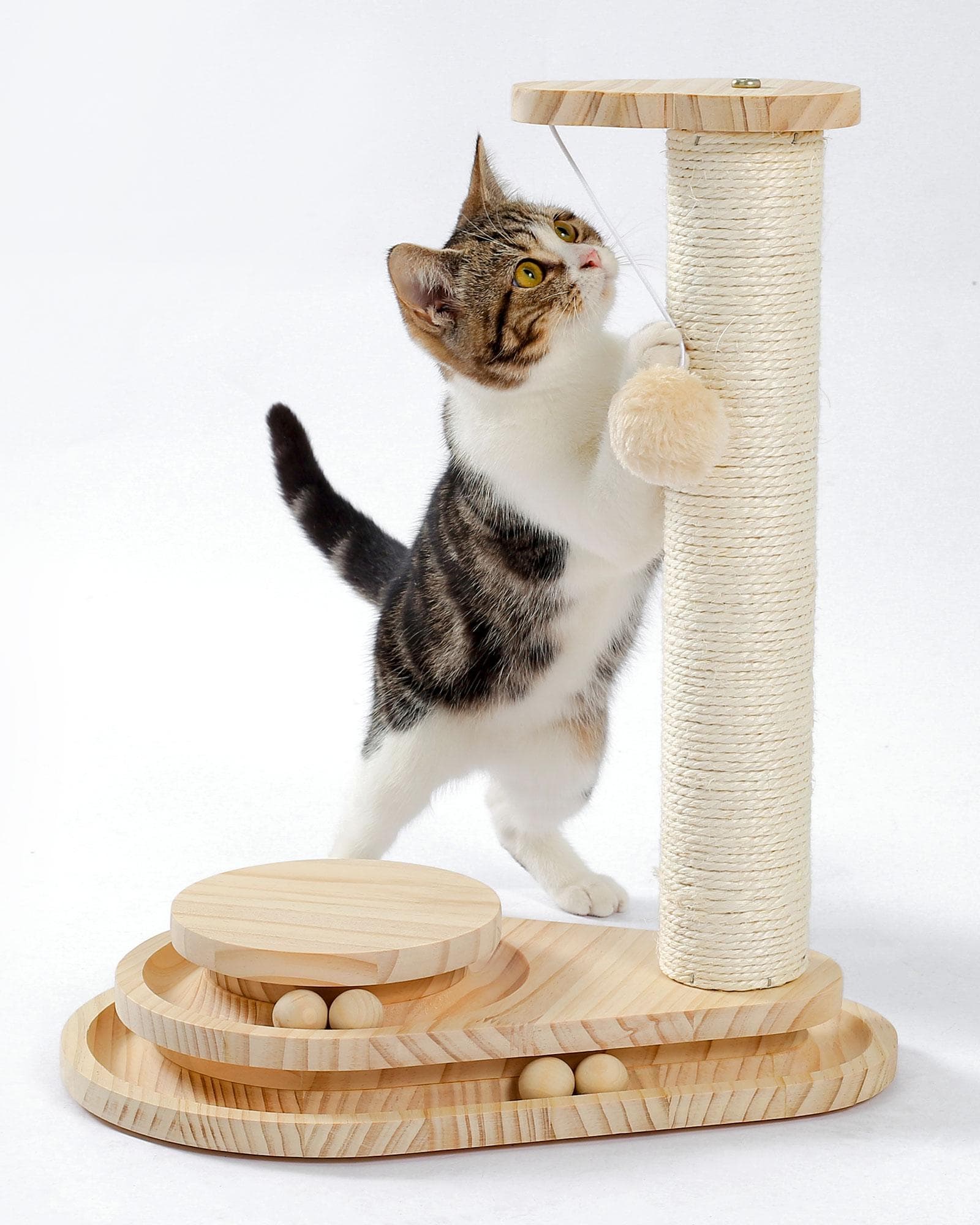Indoor Cat Soft Scratching Board And Interactive Ball Track Toy Cat Rest And Grooming Supplies