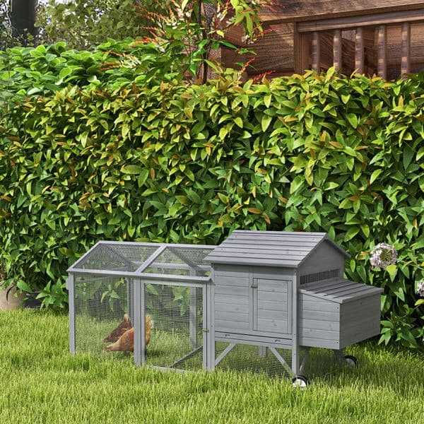 Cat Play Tunnel Cat Cage Amazon Shipping