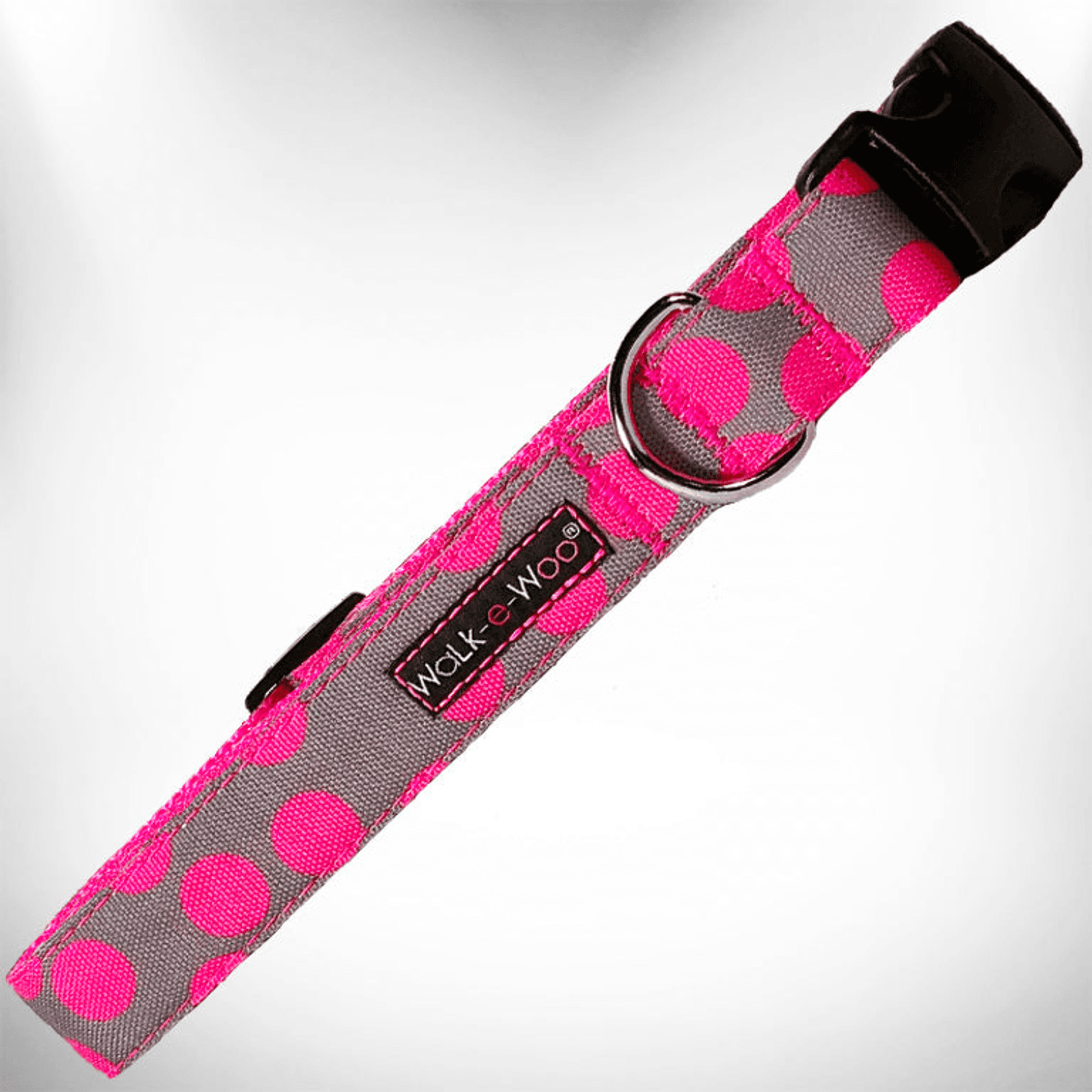 Polka Dot Dog - Neon Collars