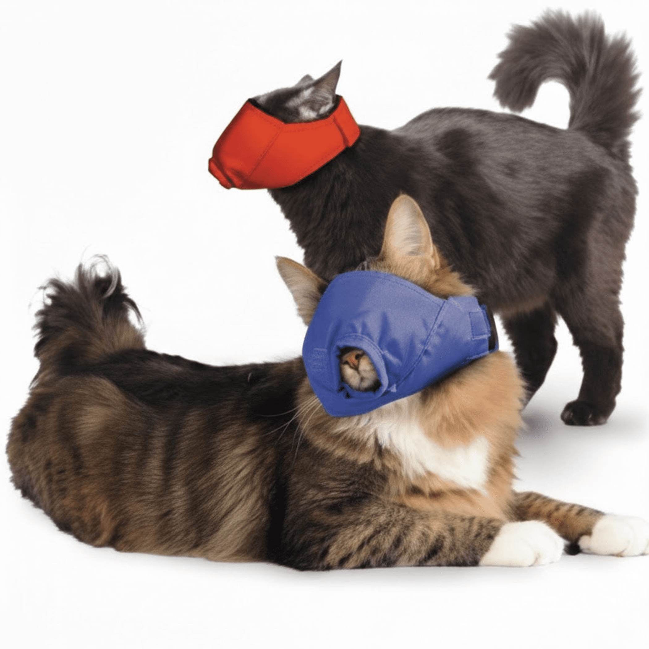 Quick Muzzle for Cats Set