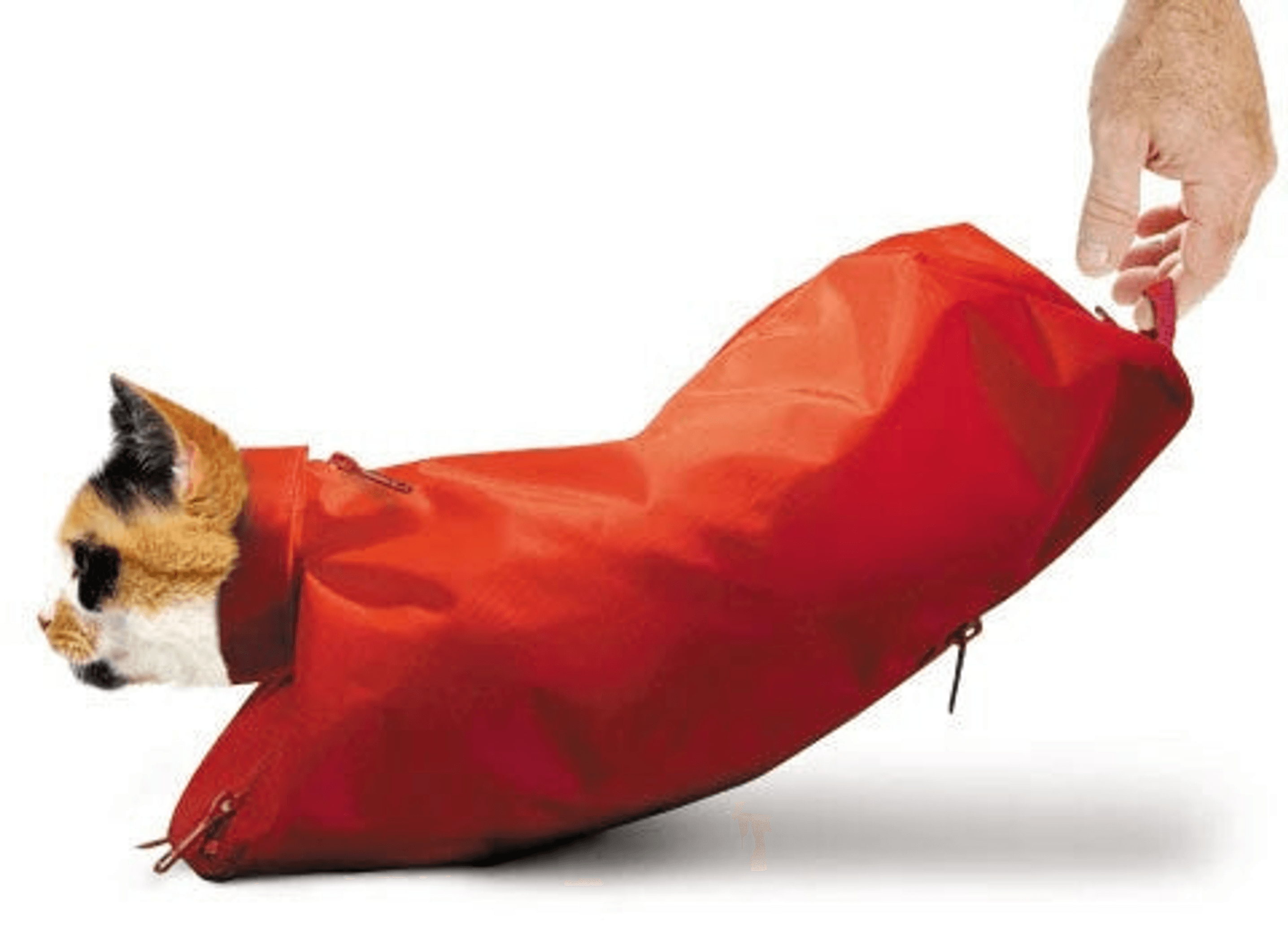 Original Cat Sack with Rear Underside Zipper Set