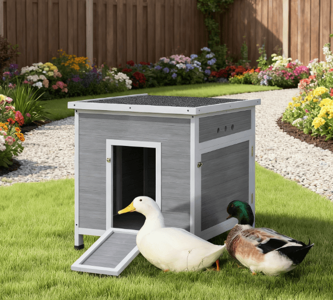 Wooden With Openable Roof Cage, Removable Floor, Double Doors