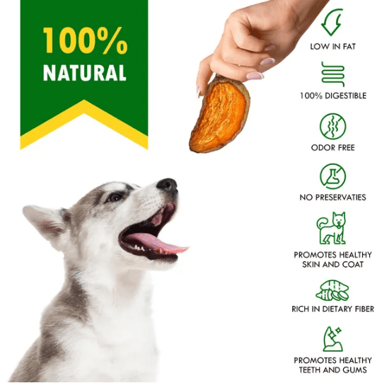 Sweet Potato Chips Treats For Dogs 10.6 Oz 300 G