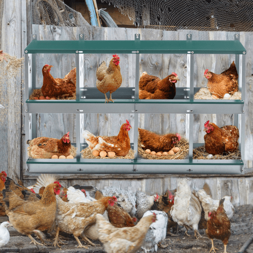 8 Compartment Chicken Nesting Boxes,For Laying Eggs, Metal Poultry Nest Box Wall Mount For Chickens, Hens, Large Vented Holes Chicken Coop Box