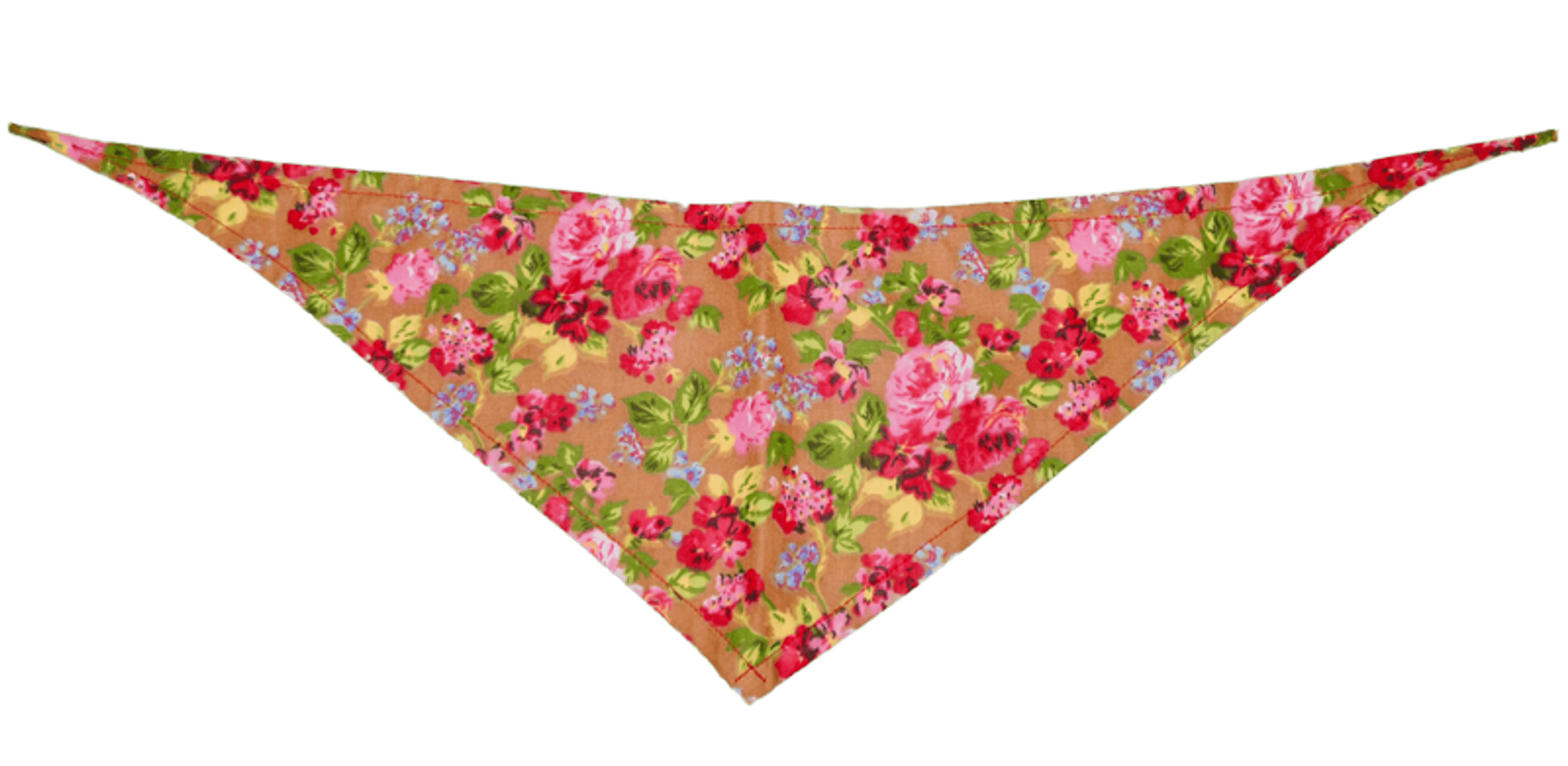 GG129FB Sand|Pets Ribbons