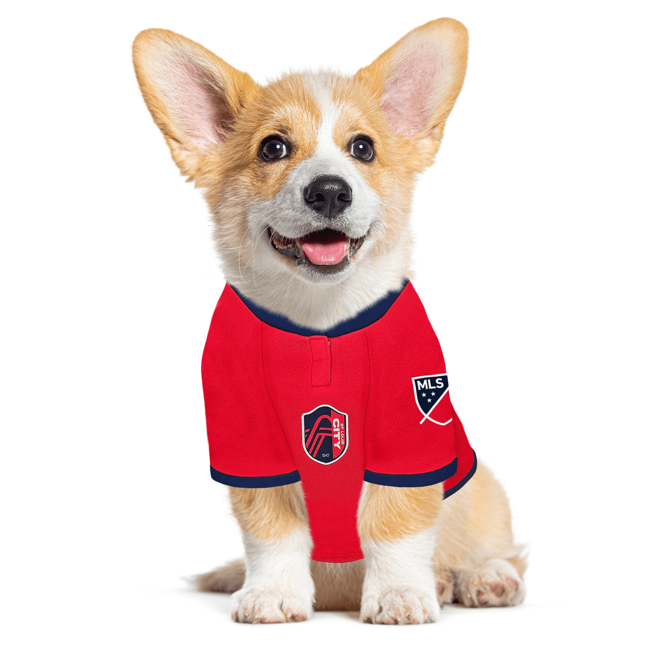 St. Louis SC Pet Jersey